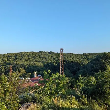 Chalakov Sinemoretz