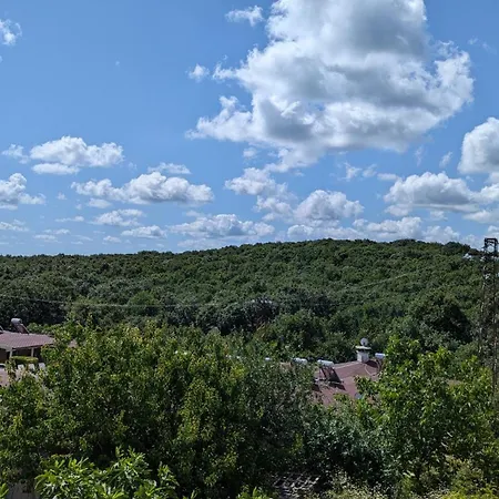 Guest house Chalakov
